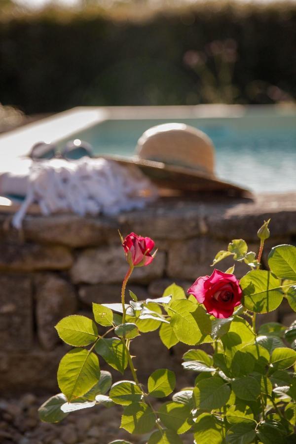 Bed and Breakfast La Figue Noire Caromb Esterno foto
